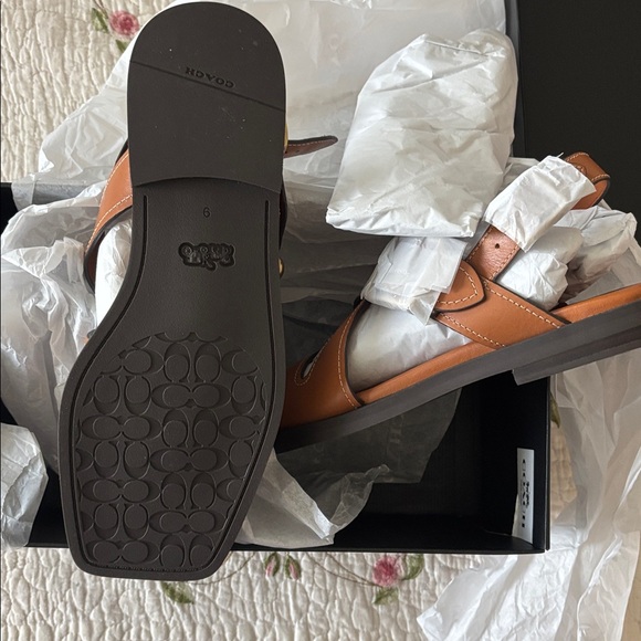 Archival Buckle Flat Sandal - Picture 5 of 7